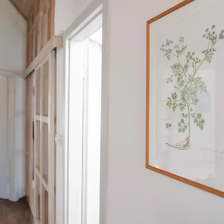 Apartment Bivalvia Koper