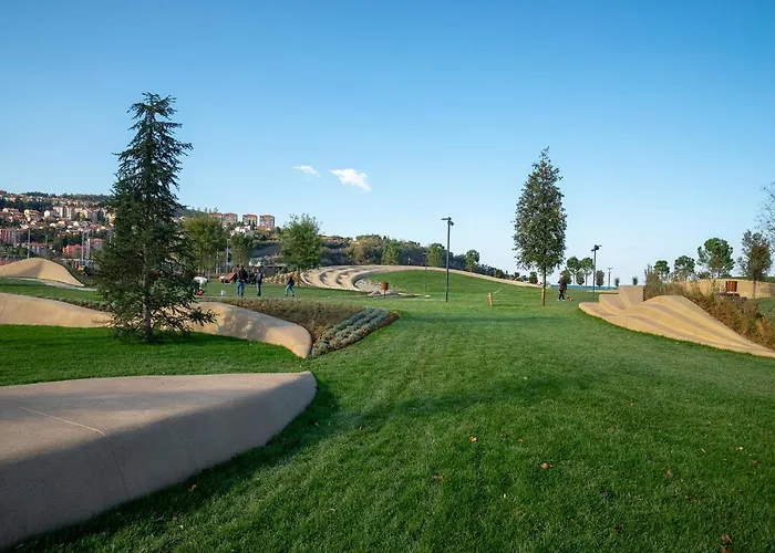 Bivalvia Διαμέρισμα *