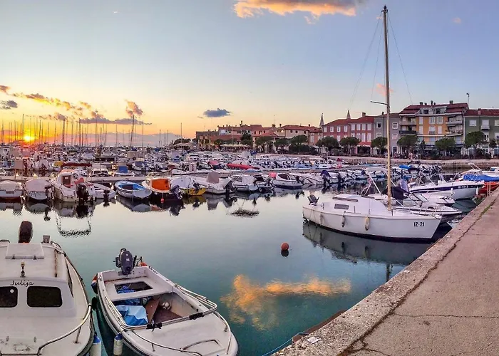 Bivalvia * Κόπερ