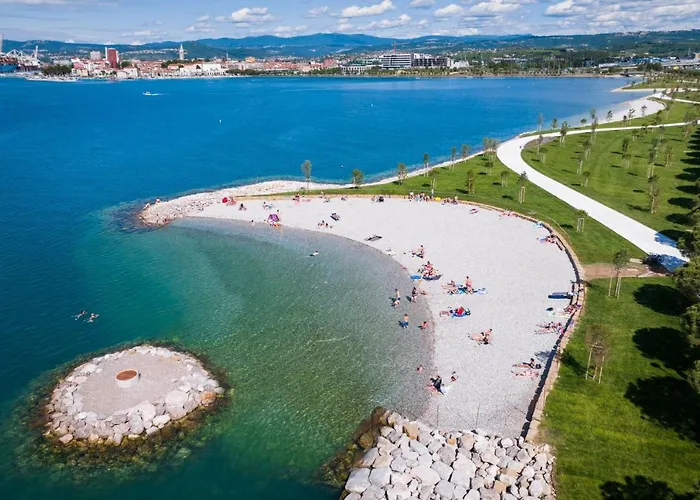 Bivalvia Διαμέρισμα *