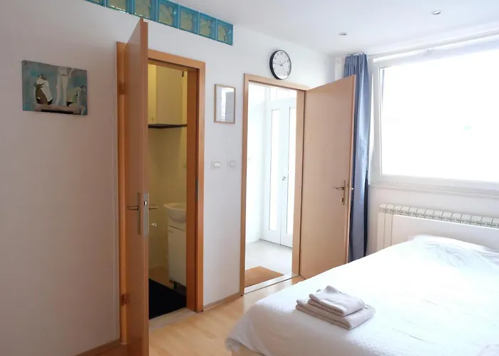 Διαμέρισμα Bivalvia Κόπερ