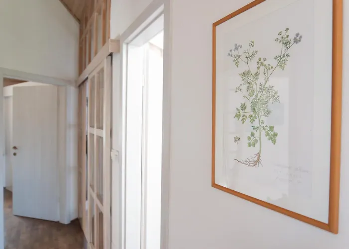 Διαμέρισμα Bivalvia Κόπερ