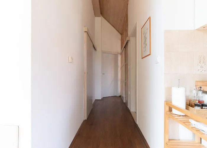 Διαμέρισμα Bivalvia