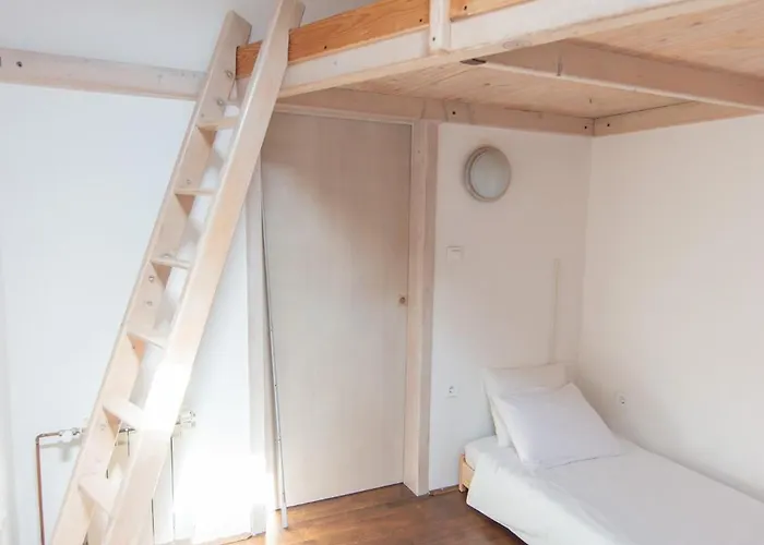 Διαμέρισμα Bivalvia *