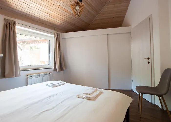 Διαμέρισμα Bivalvia Κόπερ