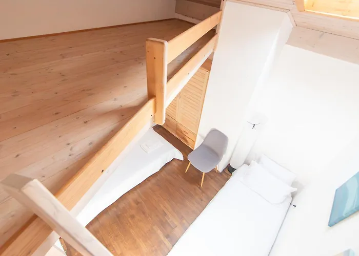 Διαμέρισμα Bivalvia *