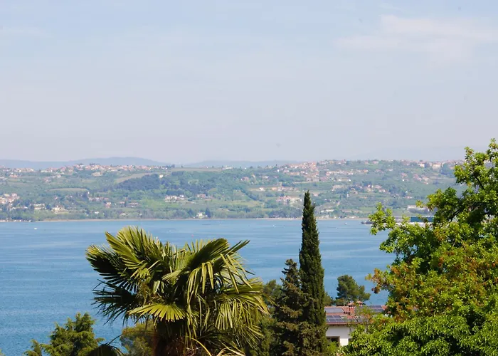 Διαμέρισμα Bivalvia