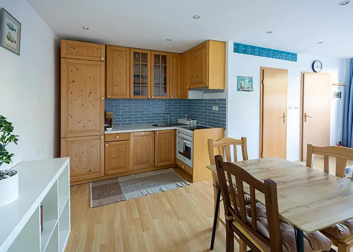 Bivalvia Διαμέρισμα *